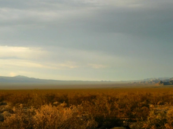 2717713A577B02DD05815A