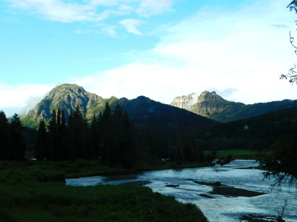 99EC1C3A5B3AF9A02E7A31