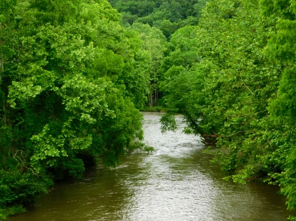 24174F3D594C91AD38021E