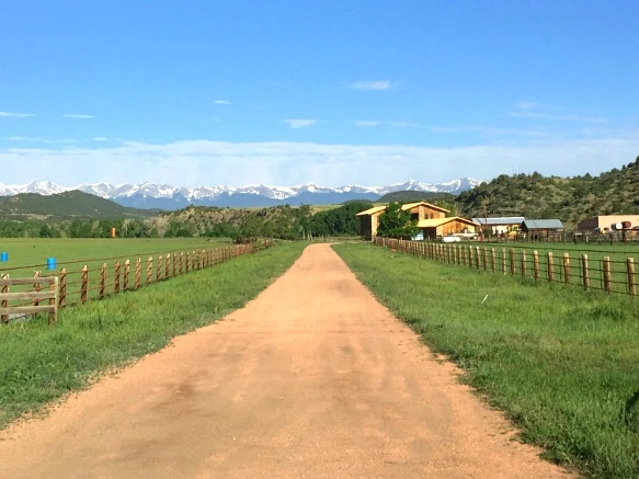 2166263F575E325B309C0E