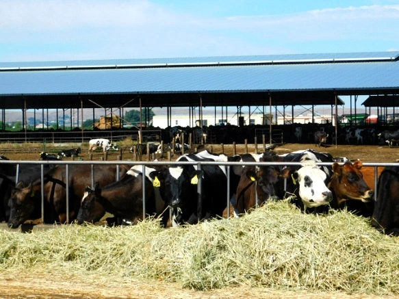 99AB46365B2F24DA30CBA9