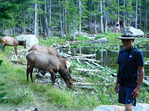 994EED4A5B7268F7025D36