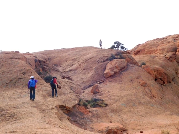 990FC9335A18D4F01DEECF