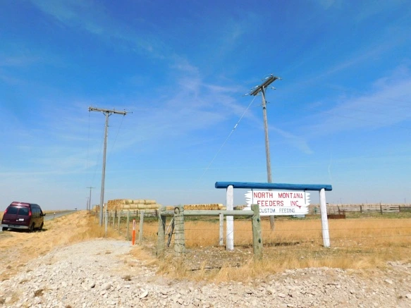 995B4D33599F9D7A3D1E80