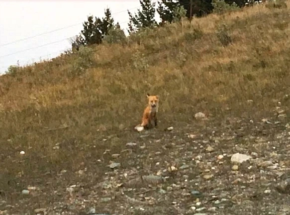 9903FC4F5B95EFCE0D2556