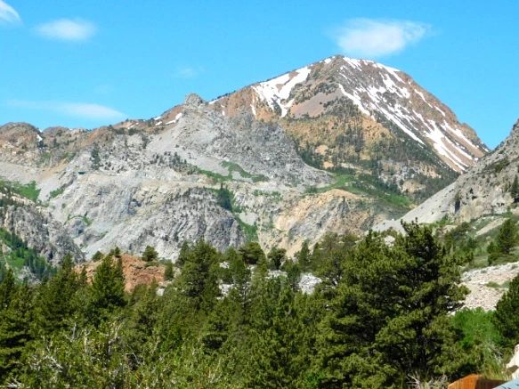 211F29455772184C22B469