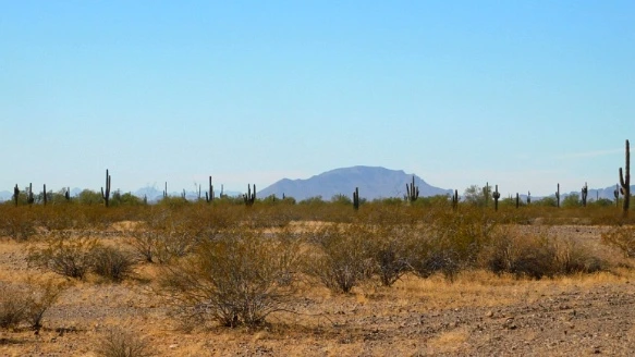 99A827335A25F33332808C