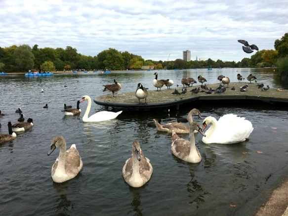 99DCEC3359D8A7FB090D7F