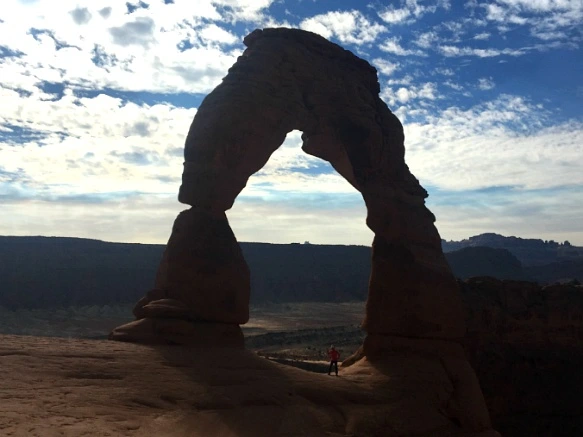 994CE9335A1113AD0463E9