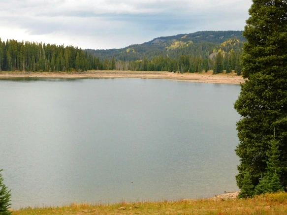 99E40D3359BF48B73348E0