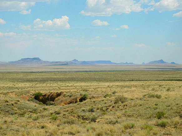 2223E13A5782FDA3239799