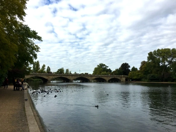 99FD1C3359D8A7F606674E