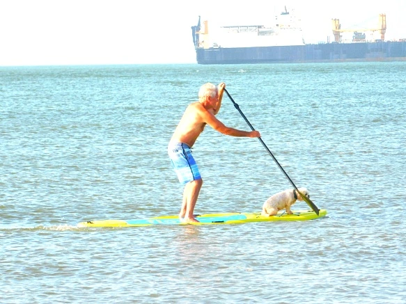 99C95B3D5B5FC3F7287305