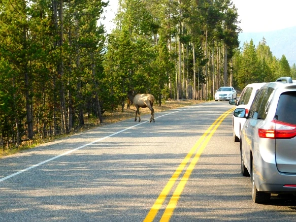 99A5483359ADFCA60413C3