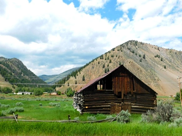 99CDCB365B2F29252F72CE