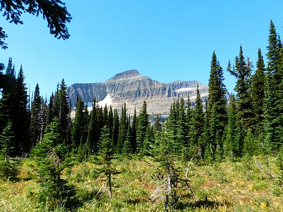 999CF1455B95AA8219E215