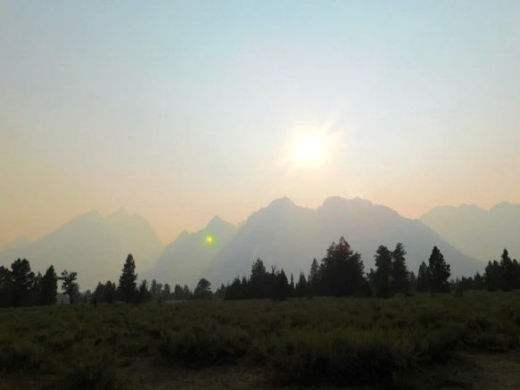 996AFF3359B1EA7E24452B