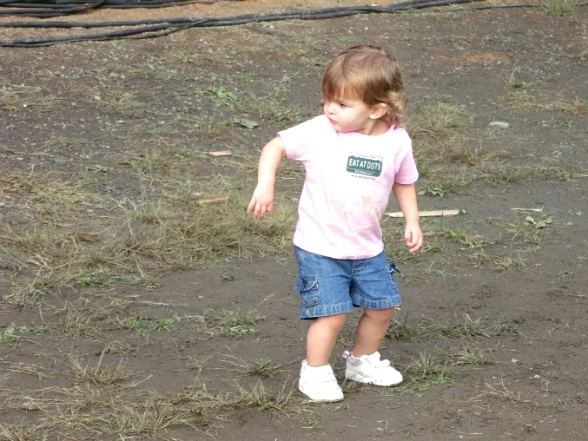 1935F34E4E8105D535E96F