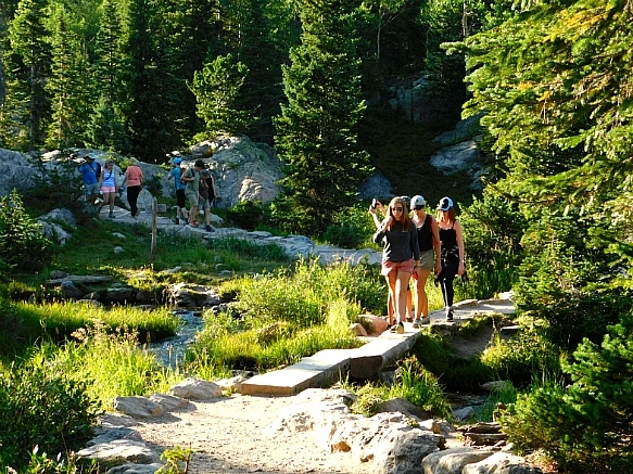 99BF41475B7268C909B63E