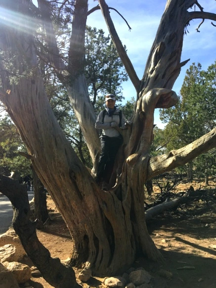 997628335A1F57C7214257