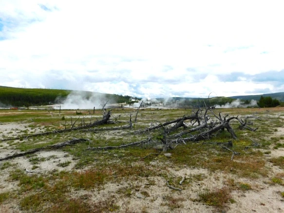 994073425B39A6002B8E45