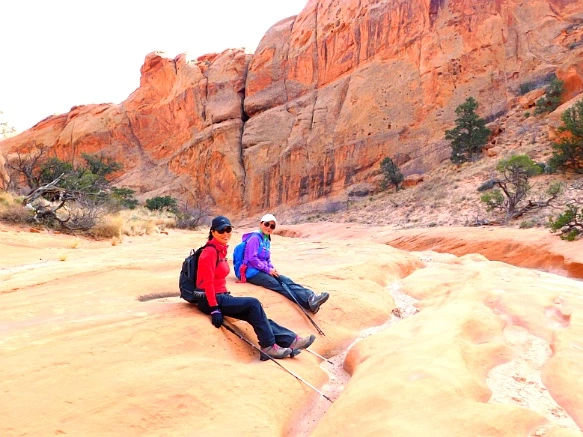 99E021335A18DB4B344207