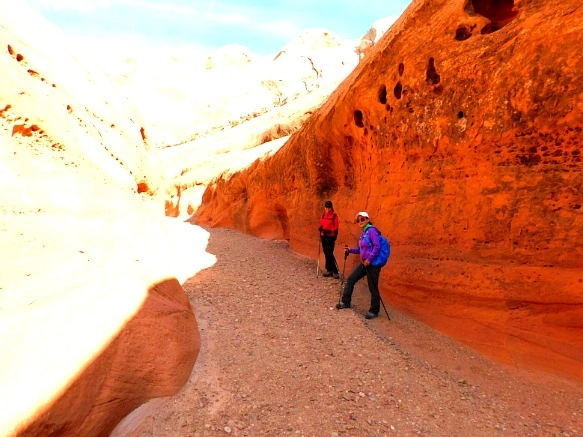 9939CD335A18DB3B2E5FFF