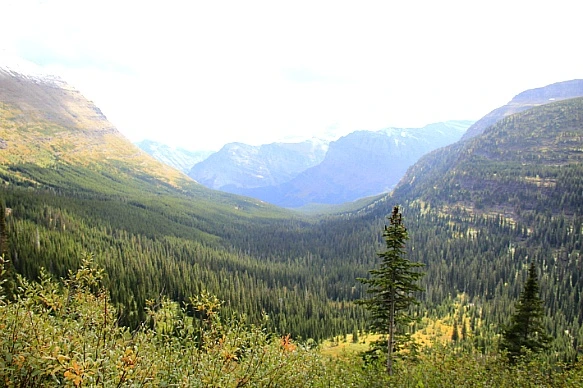 990E2A4F5BA311C7017806