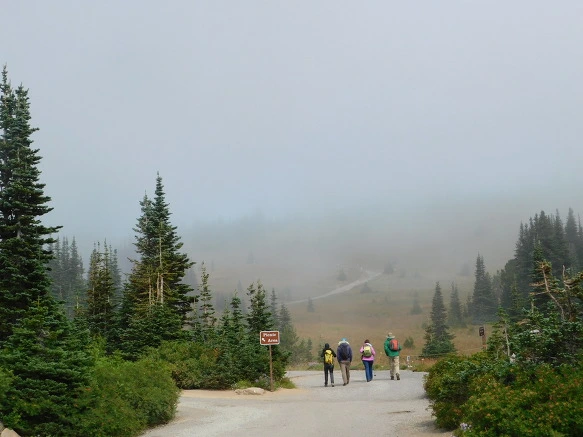 99D0E23359A4AAD401CC2A