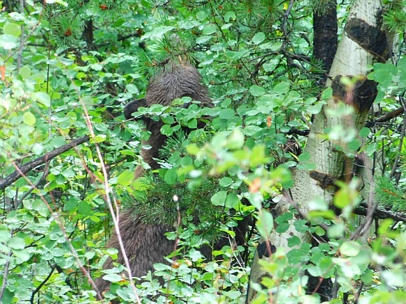 99D7E6435B8DC3AC05048A