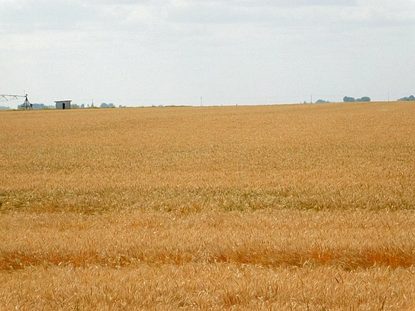 997C9A445B8379F91B9C05