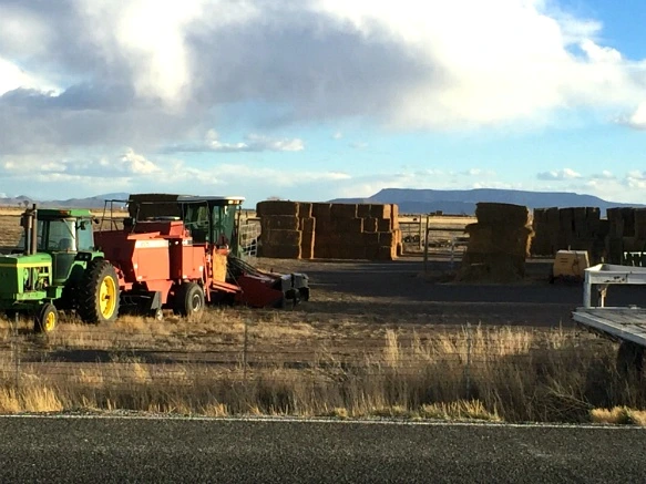 273A55445701A3A0131587