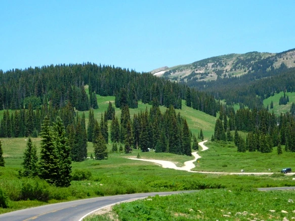 26106644595C31C423E9CC