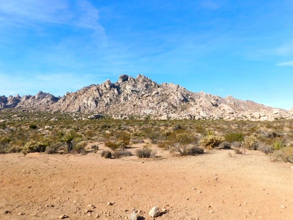 995788335A206EA02F0B62