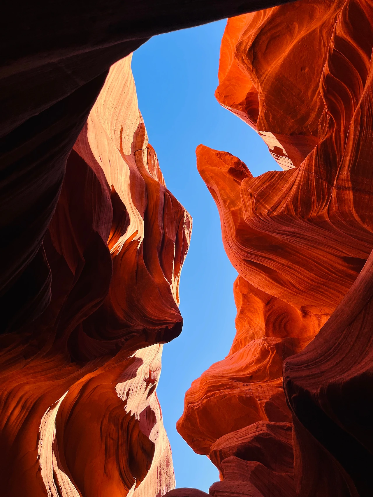 P20221018_042952724_BA9CBD73-7C34-40A1-B081-64C4350E9986 conv.jpeg