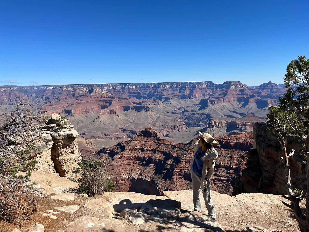 P20221019_031150013_D03DE550-9CA9-460F-ADBC-033E4295F3EE conv.jpeg