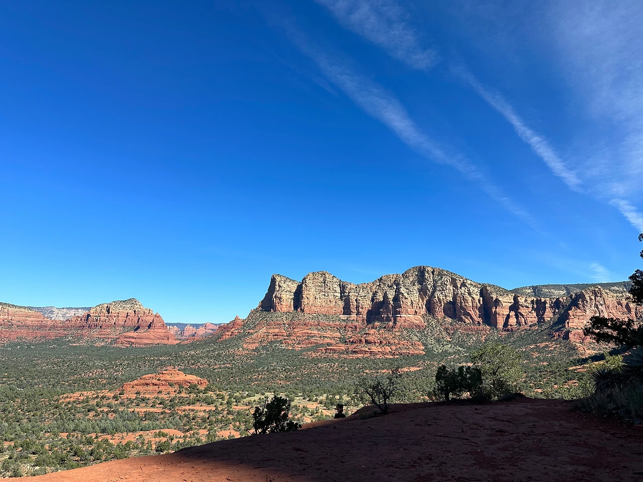 P20221020_031949836_BD66D082-5D59-43E1-BFC7-F8881EC5611C conv.jpeg