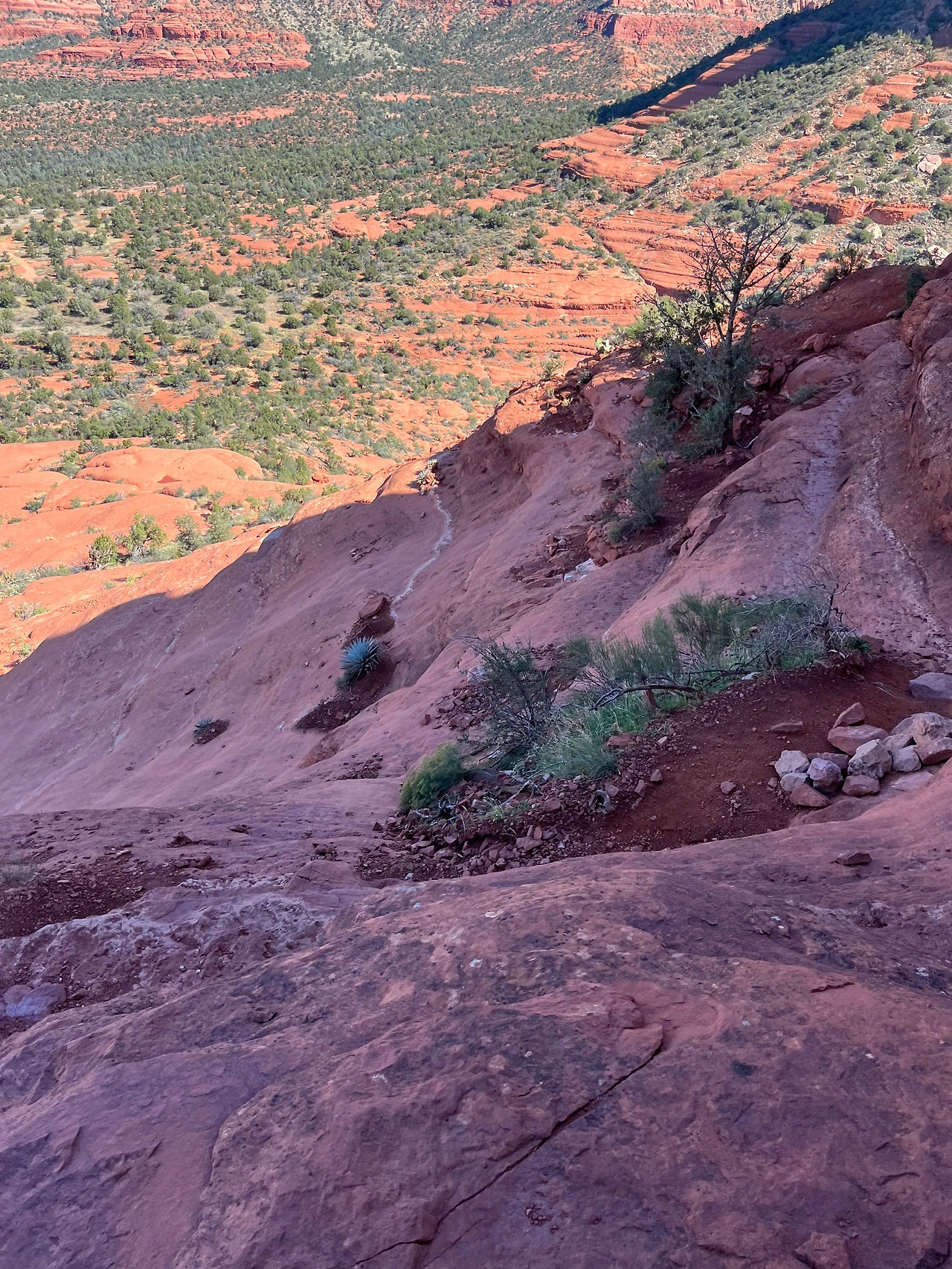 P20221020_033545728_EAC2EB43-AC08-4AC9-A120-2A3D78D0A609 conv.jpeg