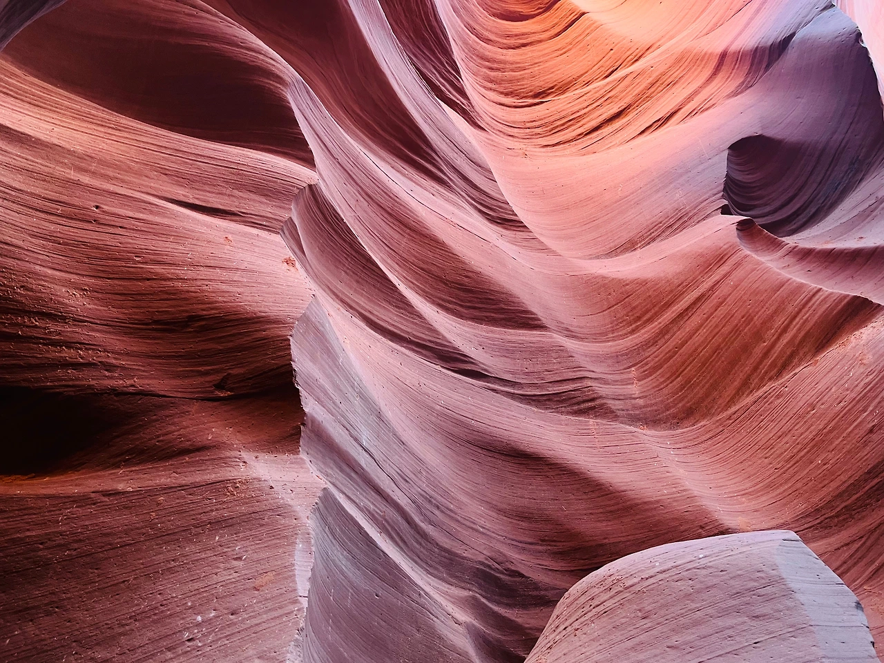 P20221018_034038926_766C9860-CC4F-4DEB-B34E-A6ED95ABC5B8 conv.jpeg