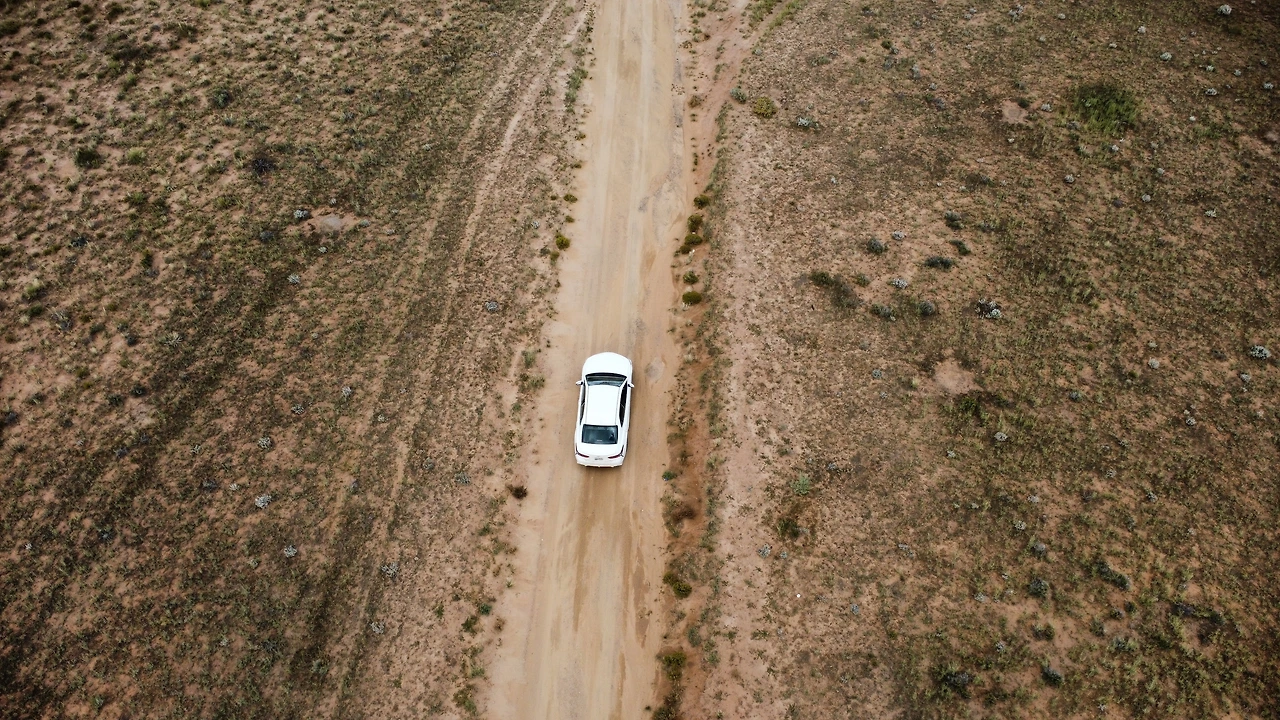 P20221018_071210128_BD022D76-D416-41AA-8EC2-ED01ED48A75A conv.jpeg