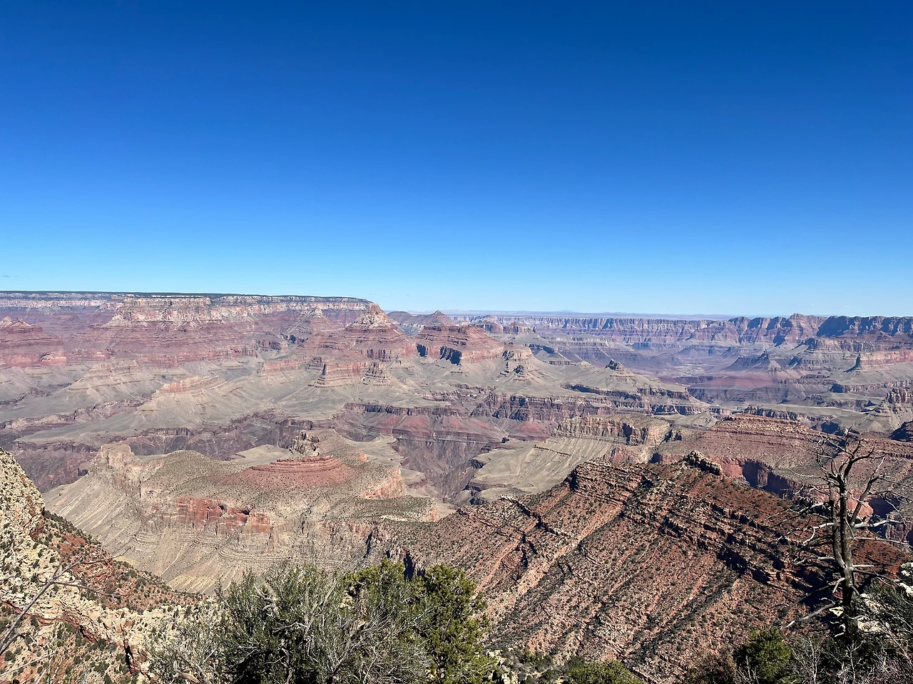 P20221019_041451397_FC1CBBF5-BA4C-41C7-AEA7-A1FD643B2379 conv.jpeg