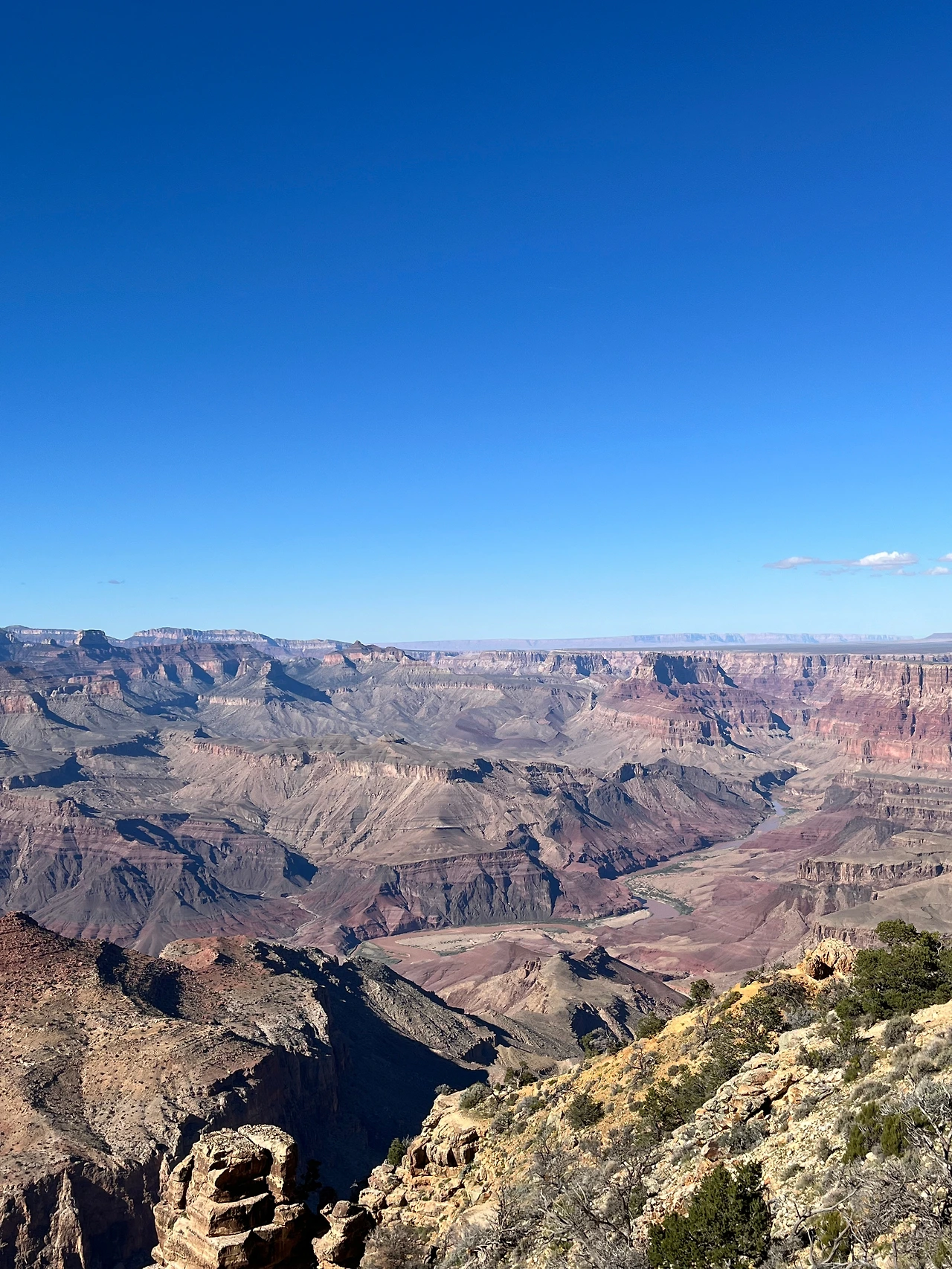 P20221019_064033191_E98A1E4B-2EA0-4226-A994-24104C9C8234 conv.jpeg