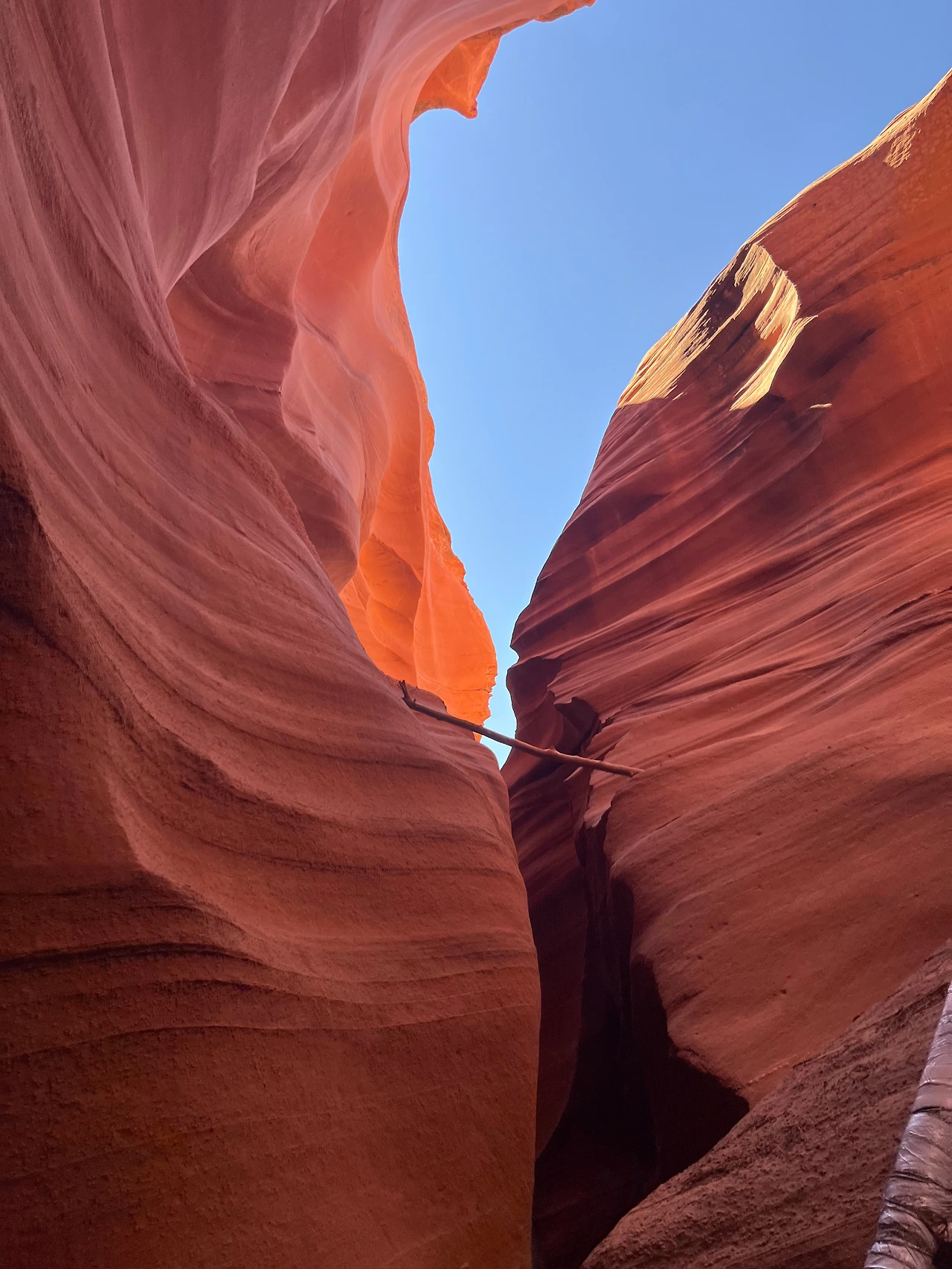 P20221018_032957810_7C0CCDA5-A27D-4FD6-A6B3-64268D536A12 conv.jpeg