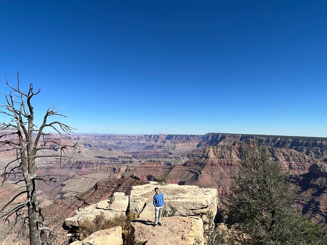 P20221019_041856832_9F50887A-C8CB-47C1-A62B-AF40C1C3C492 conv.jpeg