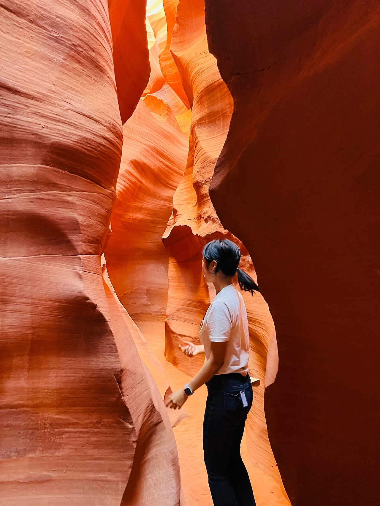 P20221018_040322464_FC9C0589-B95D-457C-ACCB-8AEC4E9F6C8C conv.jpeg