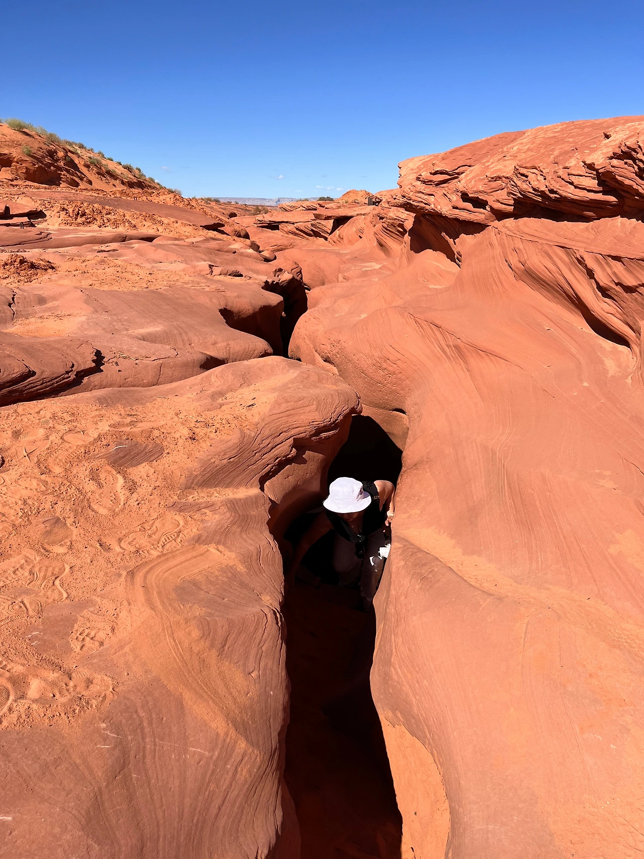 P20221018_043237300_B456ED29-BB43-4A0E-83BA-2300E36AFB95 conv.jpeg