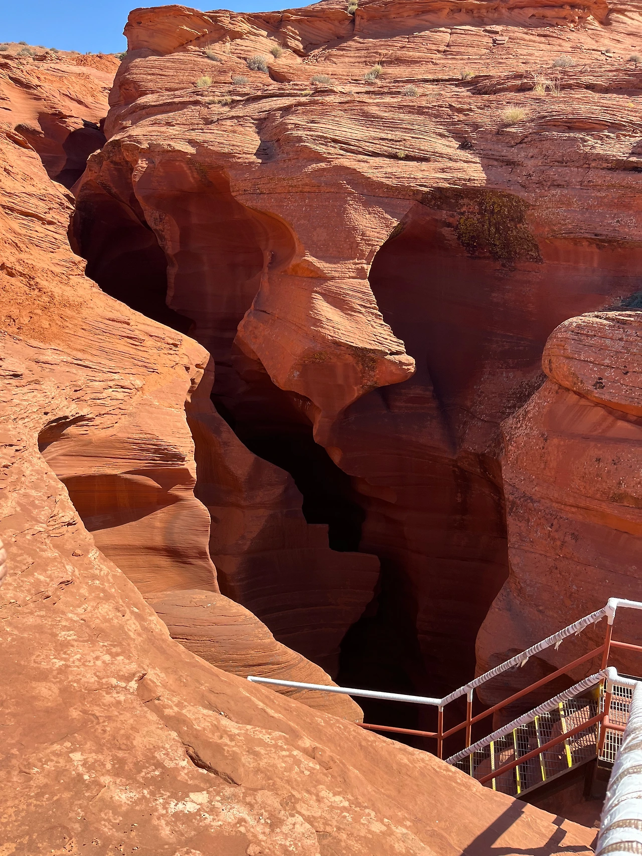 P20221018_032659359_FF963D49-B722-454F-8B4D-D3C9D87AF987 conv.jpeg