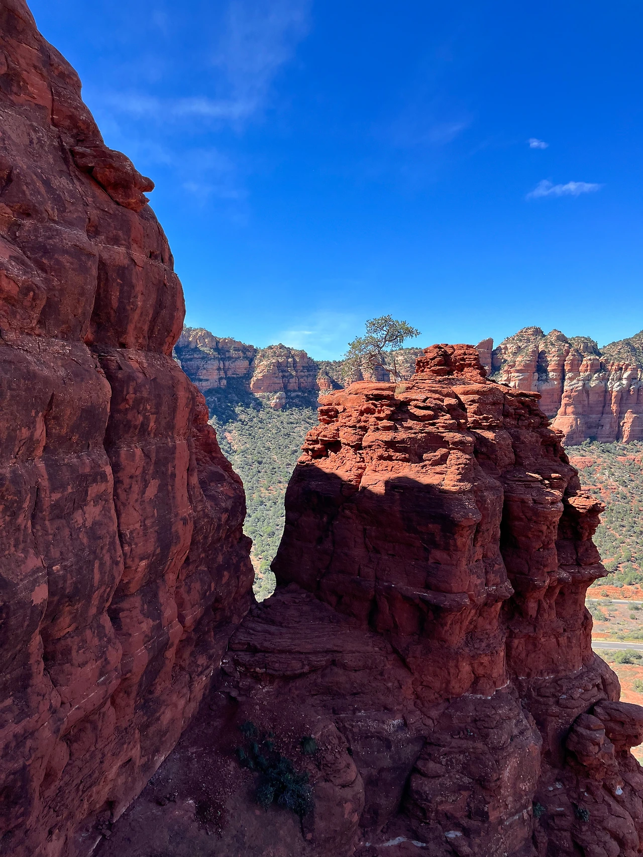 P20221020_033726719_E56C0EBB-AF9D-4EFB-8814-D7BD6394427D conv.jpeg