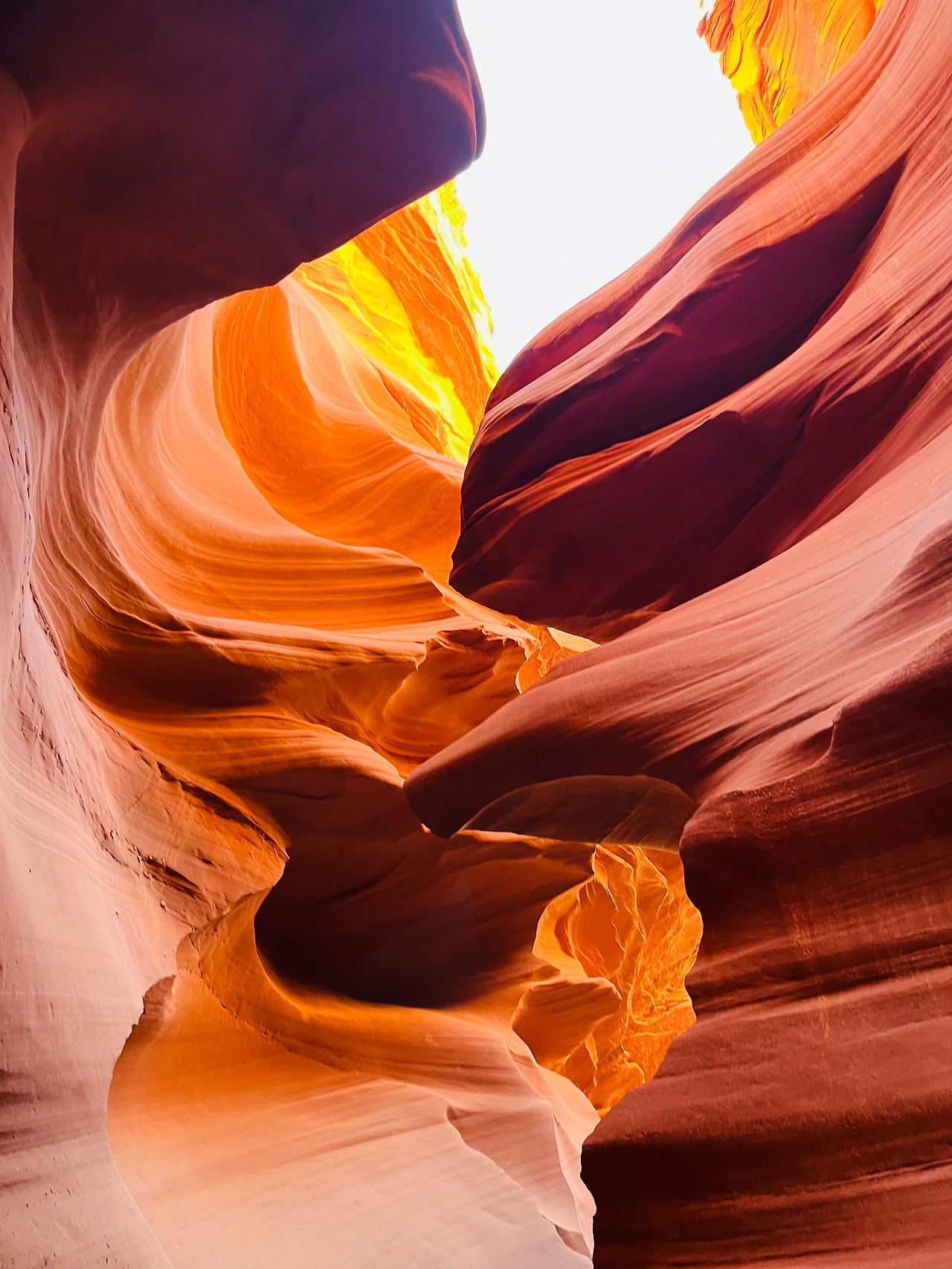 P20221018_041516462_34131289-6FB8-4230-BACB-1E7AF84EC3CC conv.jpeg