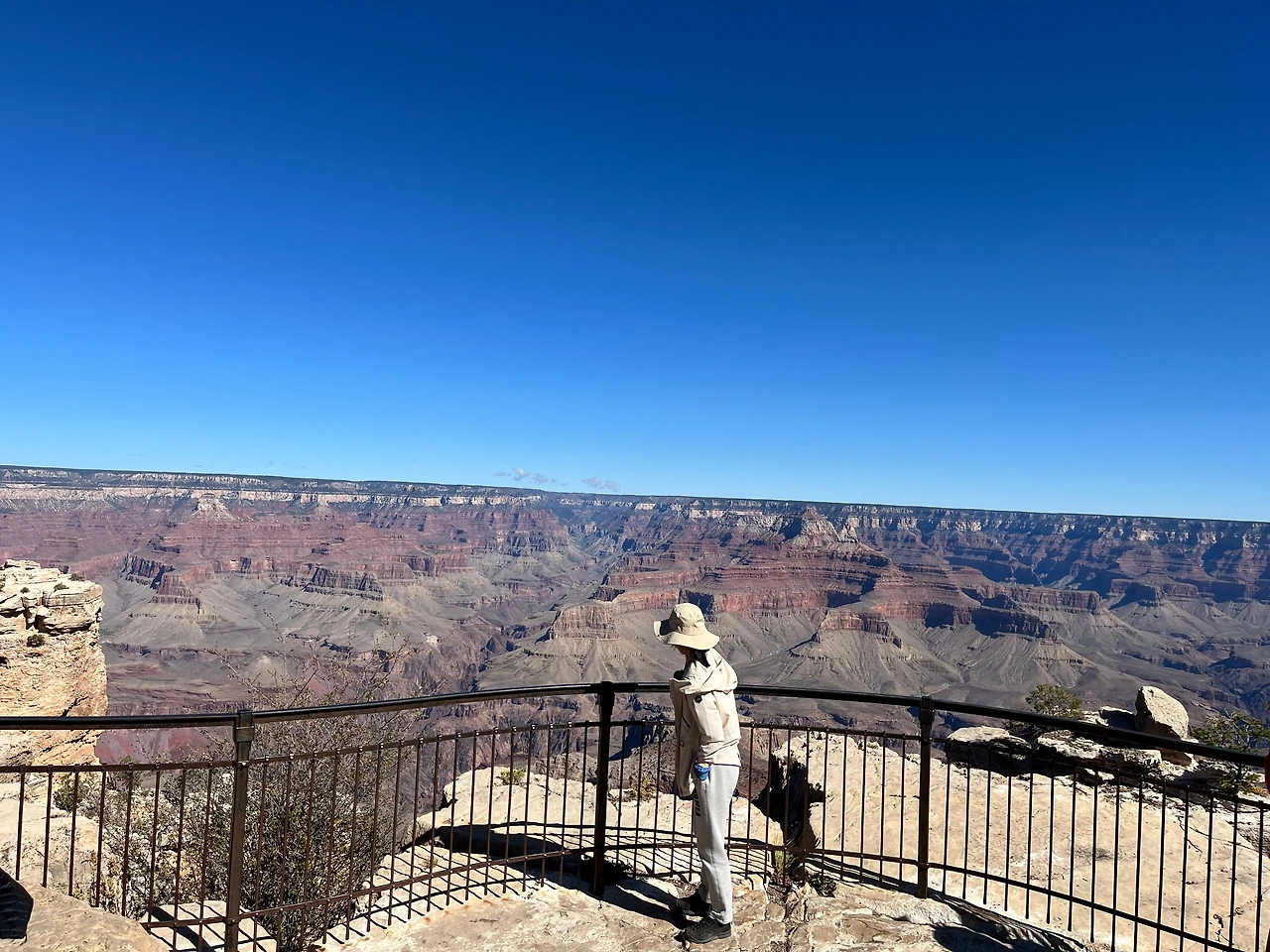 P20221019_031005678_85C12DEA-D0A3-4A51-BA71-91822881AF80 conv.jpeg